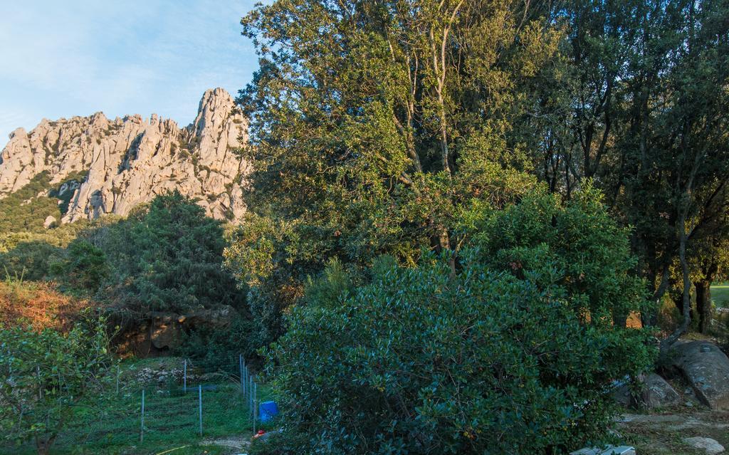 Casa Vacanze San Pantaleo Villa Eksteriør bilde
